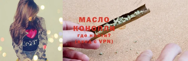 дживик Бородино