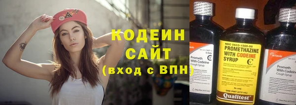 дживик Бородино