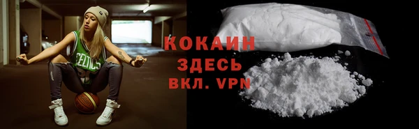дживик Бородино