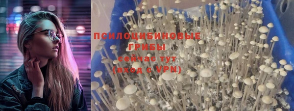 дживик Бородино