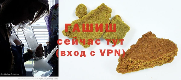 дживик Бородино