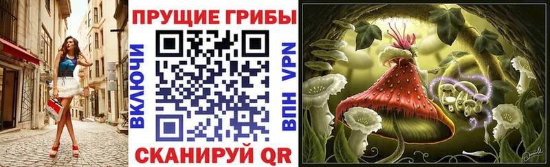 Галлюциногенные грибы Magic Shrooms  Купить  Кологрив 